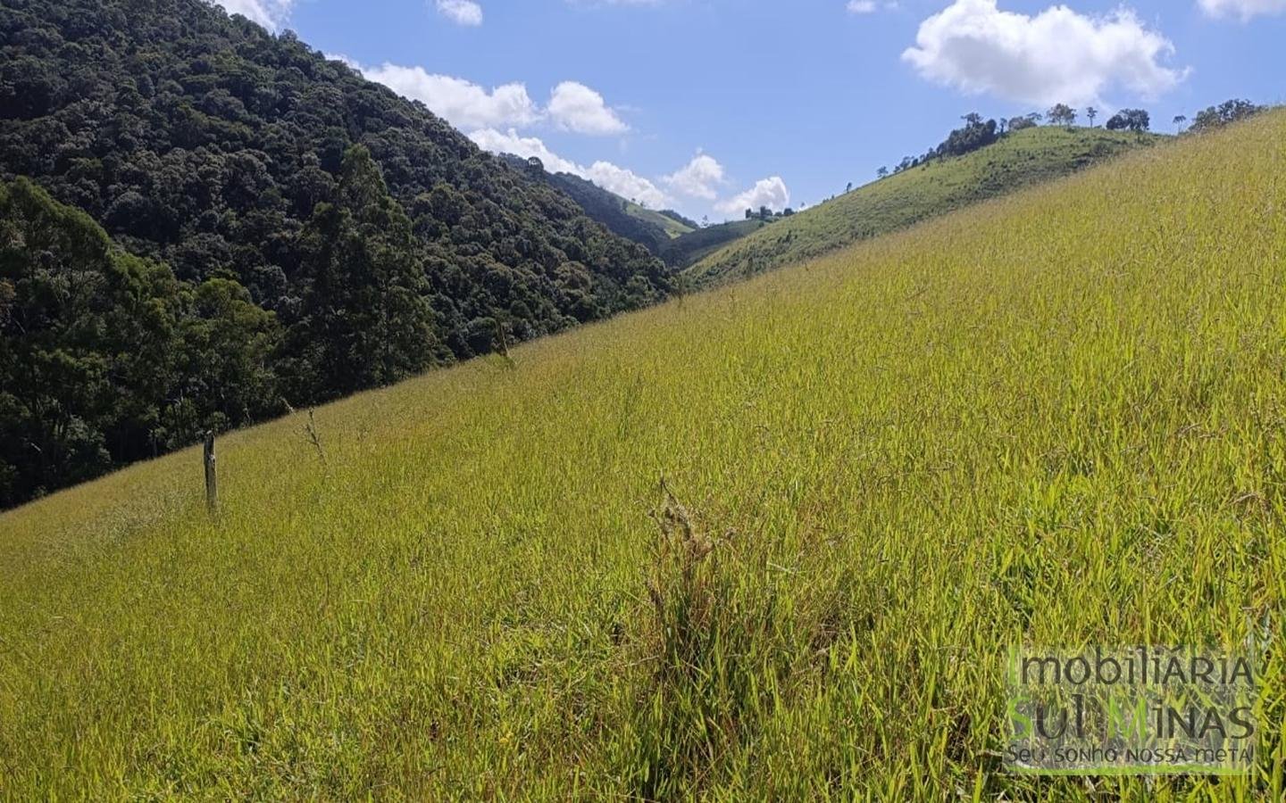 Sítio Completo Porteira Fechada em ItapevaMG cod2441 (57)