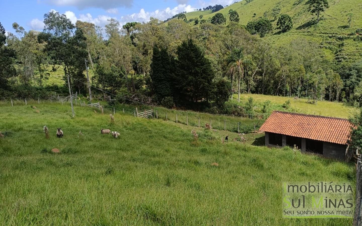 Sítio Completo Porteira Fechada em ItapevaMG cod2441 (58)