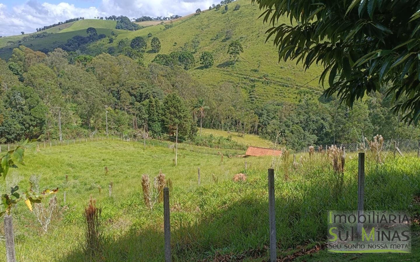 Sítio Completo Porteira Fechada em ItapevaMG cod2441 (59)