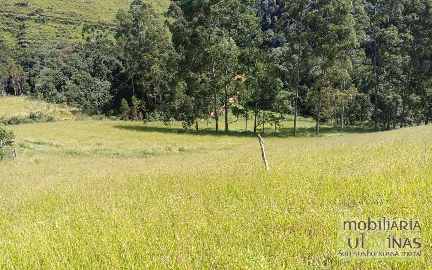 Sítio Completo Porteira Fechada em ItapevaMG cod2441 (60)