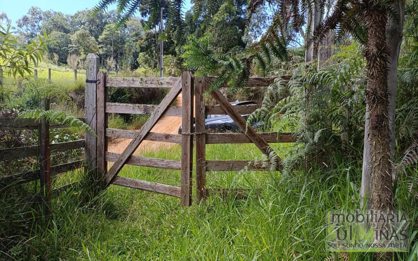 Sítio Completo Porteira Fechada em ItapevaMG cod2441 (62)