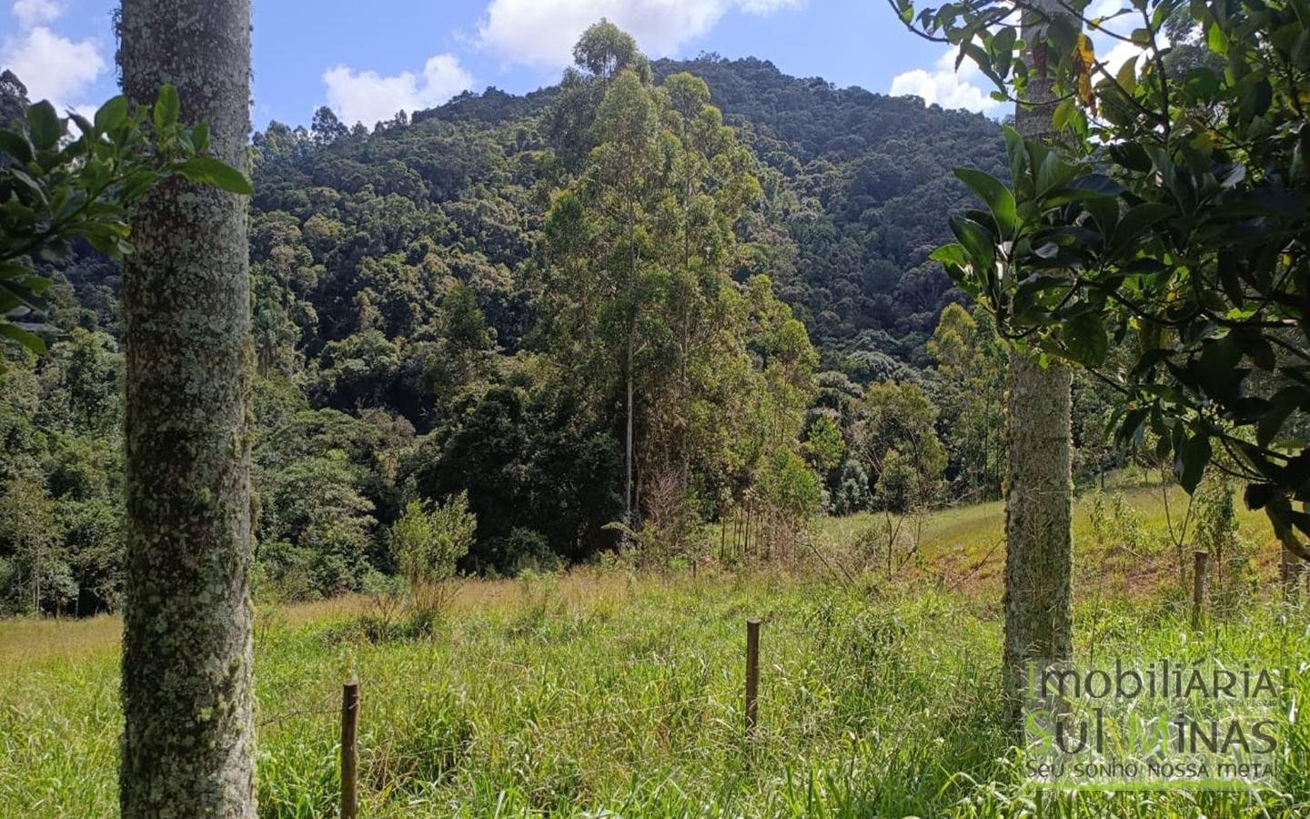 Sítio Completo Porteira Fechada em ItapevaMG cod2441 (65)