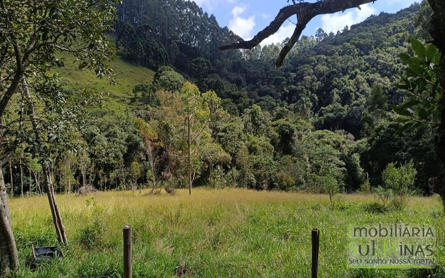 Sítio Completo Porteira Fechada em ItapevaMG cod2441 (66)