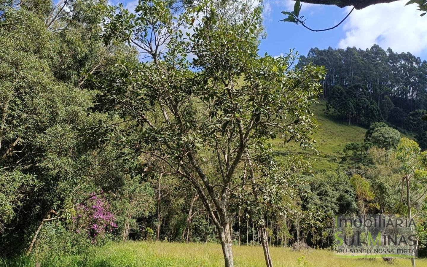 Sítio Completo Porteira Fechada em ItapevaMG cod2441 (69)