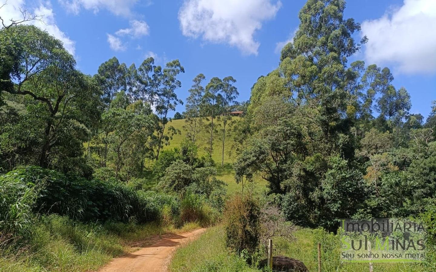 Sítio Completo Porteira Fechada em ItapevaMG cod2441 (70)