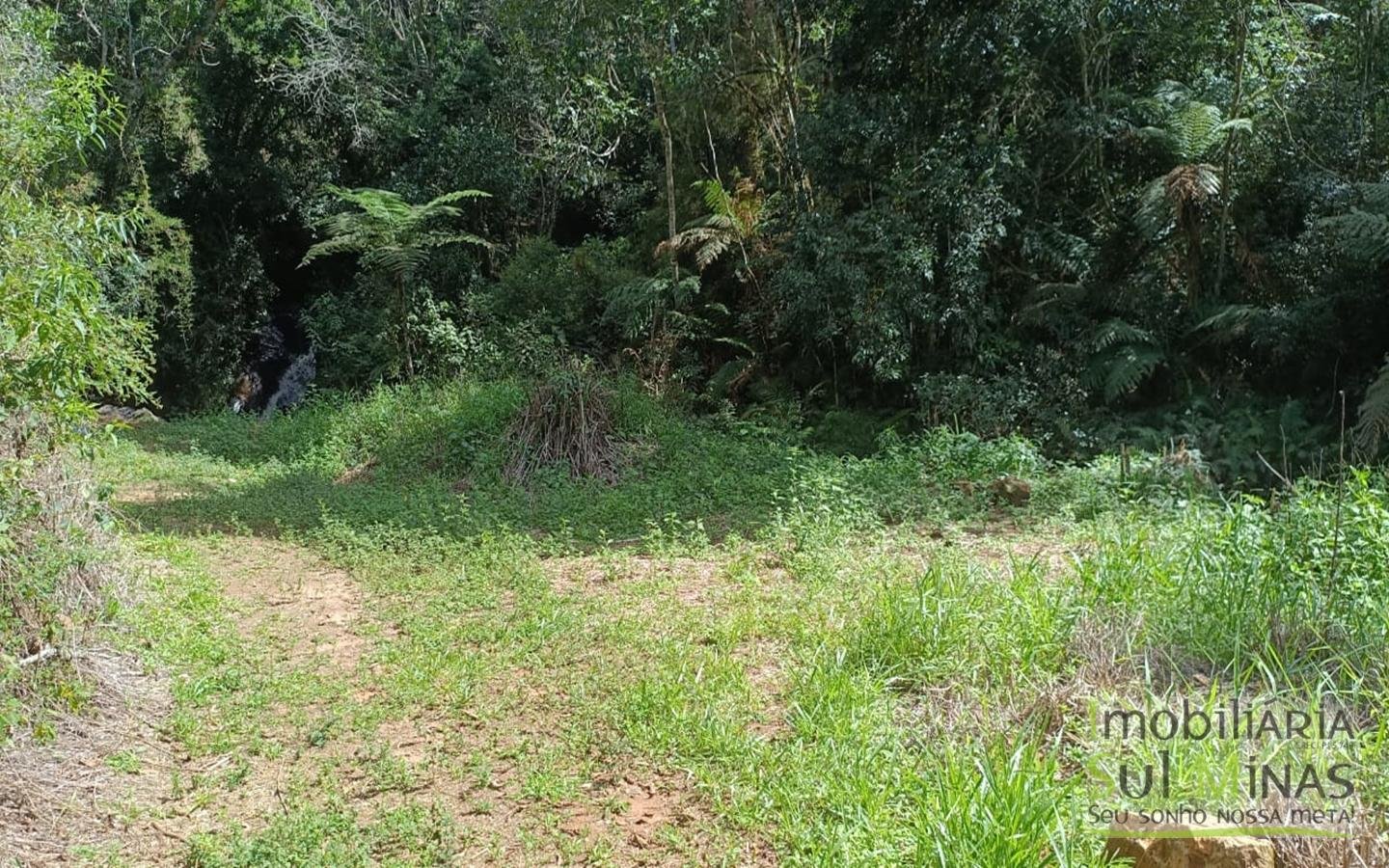 Sítio Completo Porteira Fechada em ItapevaMG cod2441 (72)