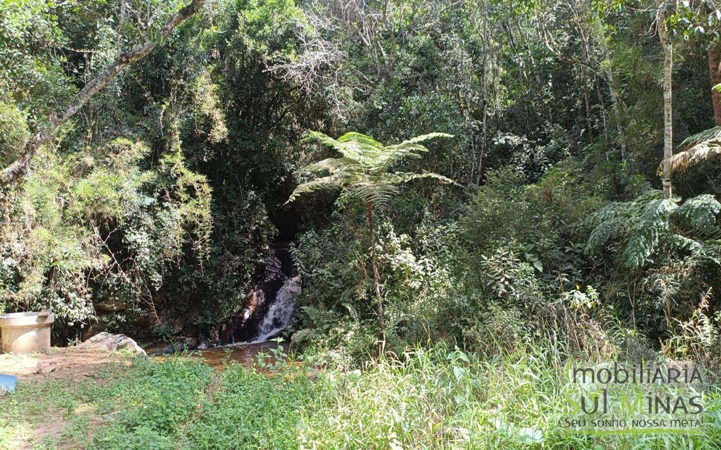 Sítio Completo Porteira Fechada em ItapevaMG cod2441 (73)