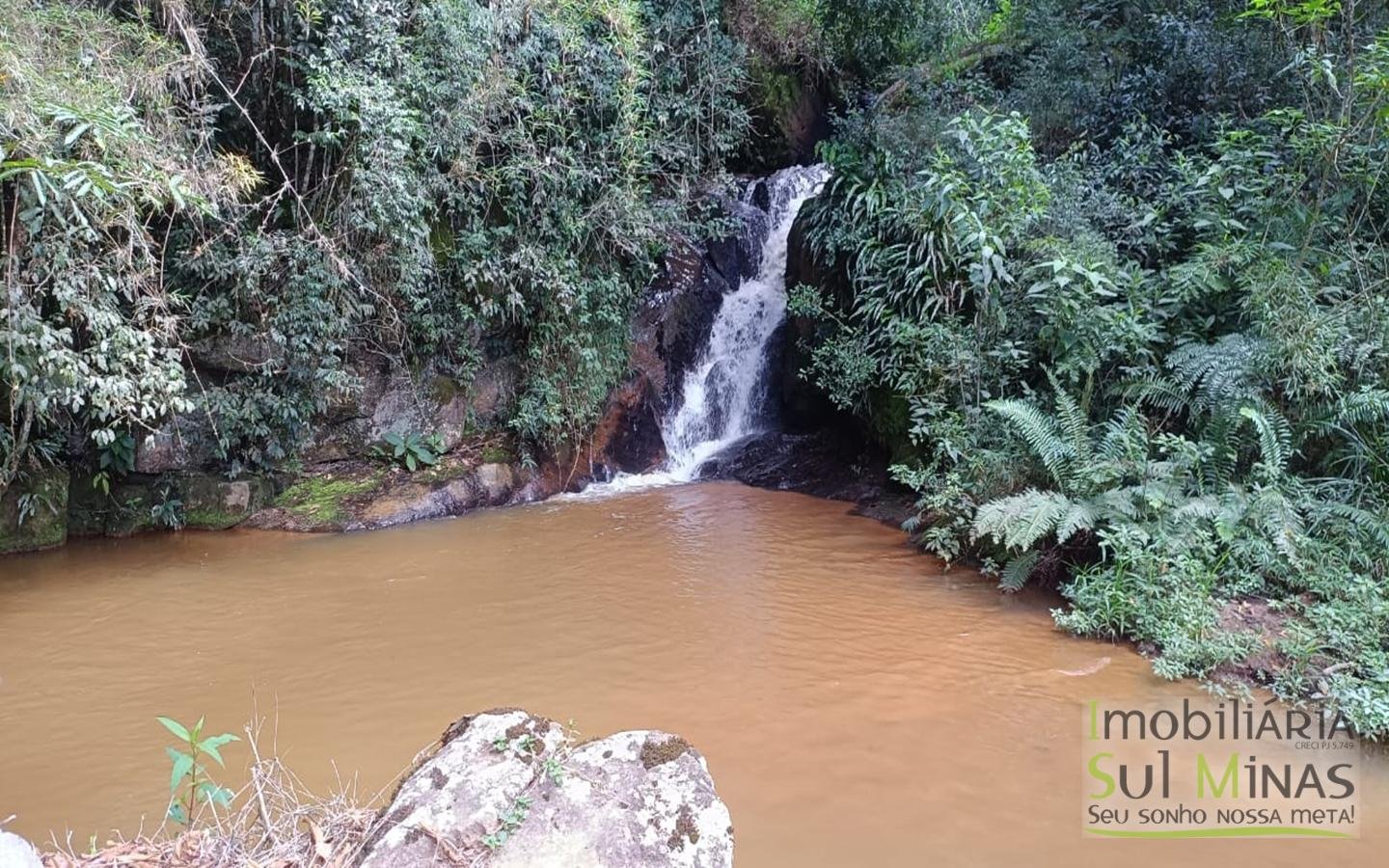 Sítio Completo Porteira Fechada em ItapevaMG cod2441 (75)