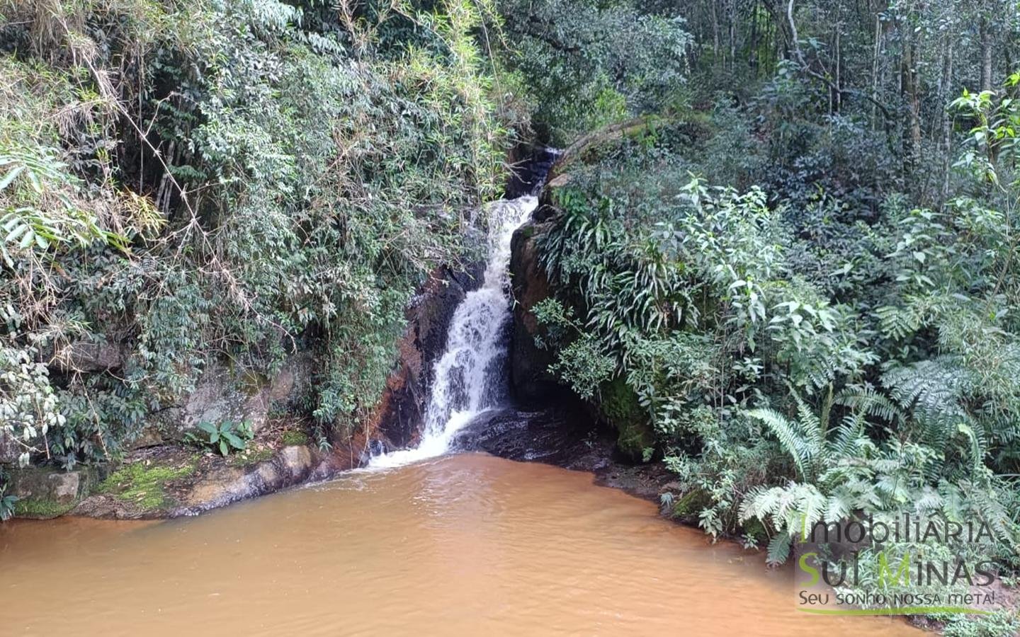 Sítio Completo Porteira Fechada em ItapevaMG cod2441 (76)