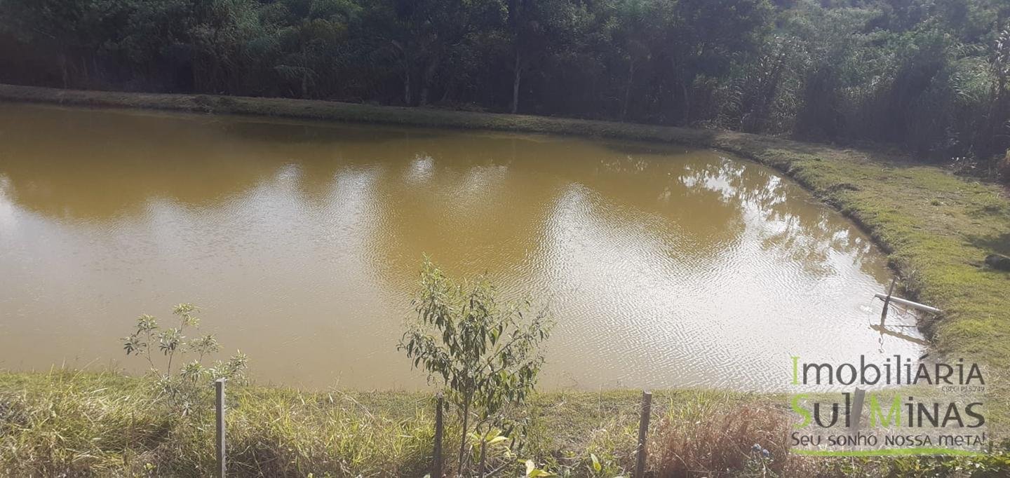 Sítio de 13 hectares à venda em Munhoz MG cód 2435 (3)