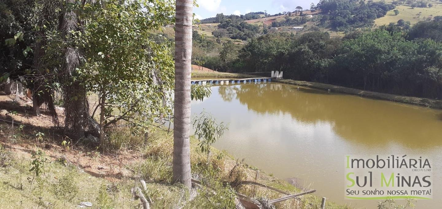 Sítio de 13 hectares à venda em Munhoz MG cód 2435 (4) Sítio de 13 hectares à venda em Munhoz MG cód 2435 (4)