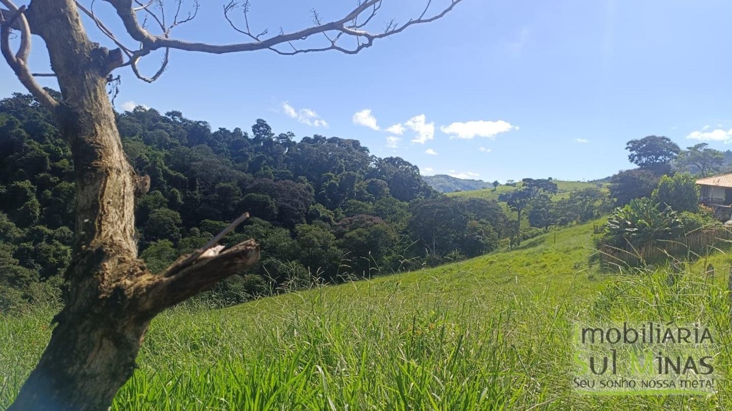 Sítio de 3 Alqueires a 7km da cidade a Venda em Cambuí MG cod 2437 (12)