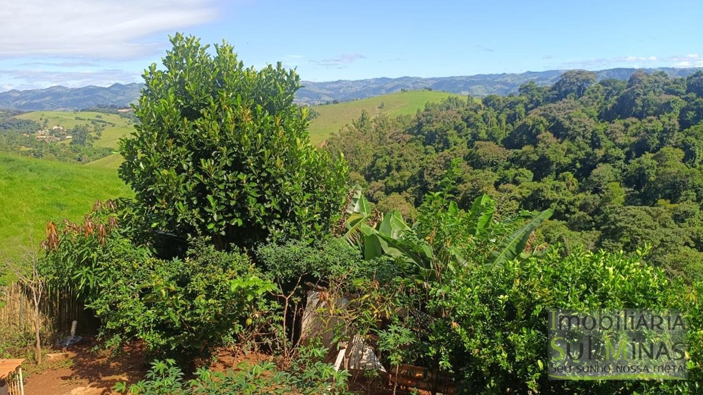 Sítio de 3 Alqueires a 7km da cidade a Venda em Cambuí MG cod 2437 (13)