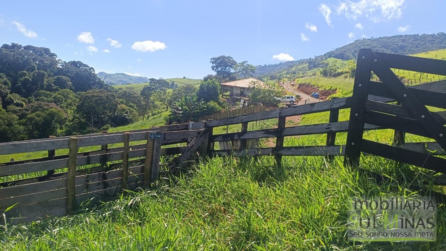 Sítio de 3 Alqueires a 7km da cidade a Venda em Cambuí MG cod 2437 (15)