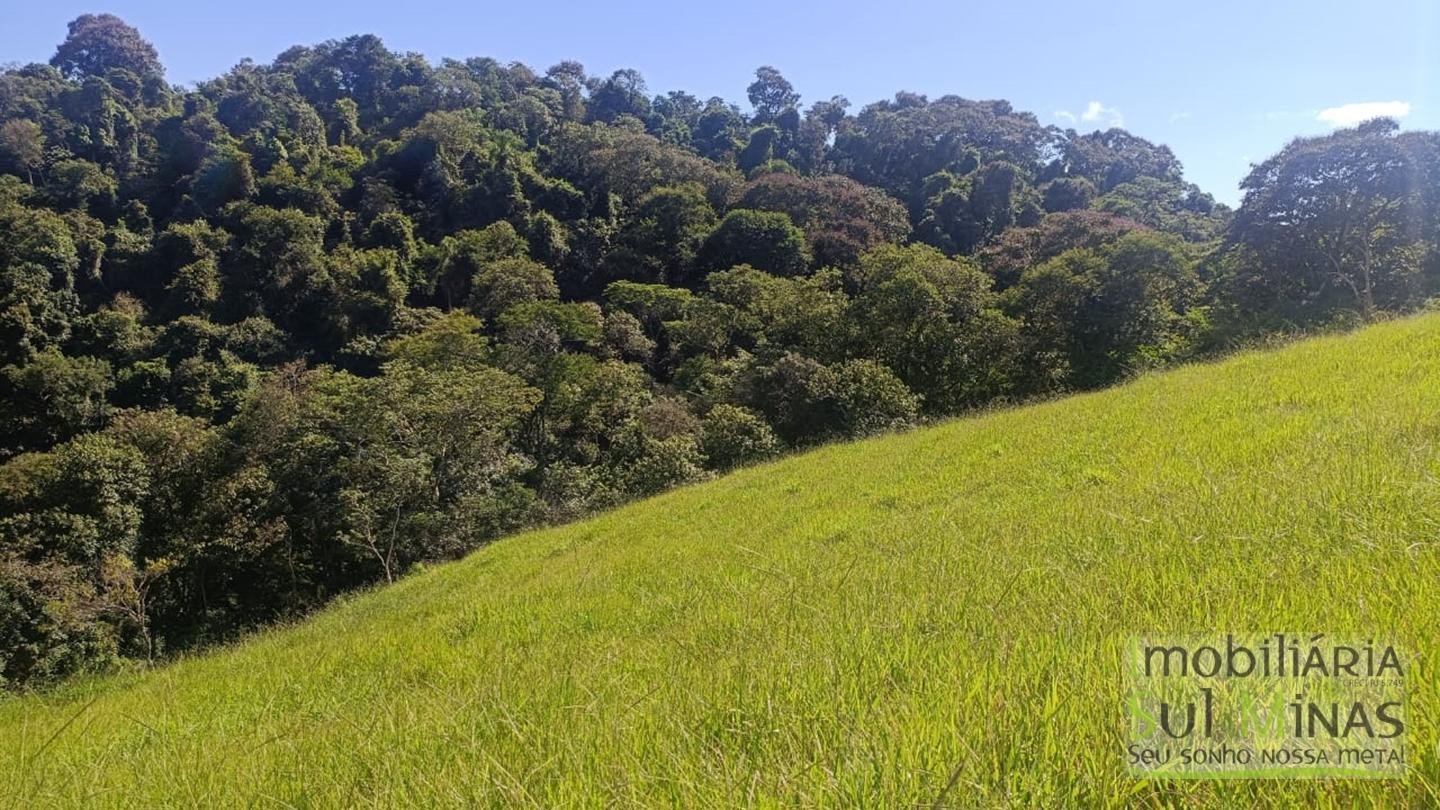 Sítio de 3 Alqueires a 7km da cidade a Venda em Cambuí MG cod 2437 (16)