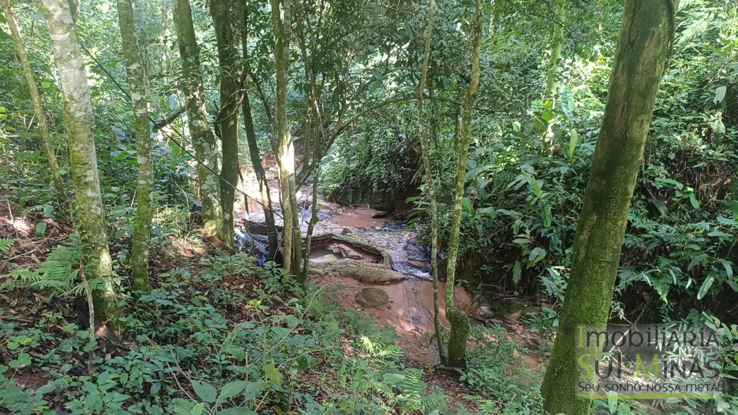 Sítio de 3 Alqueires a 7km da cidade a Venda em Cambuí MG cod 2437 (18)