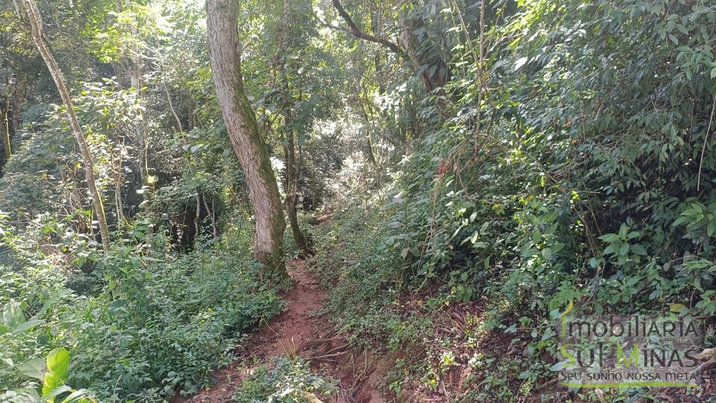 Sítio de 3 Alqueires a 7km da cidade a Venda em Cambuí MG cod 2437 (19)