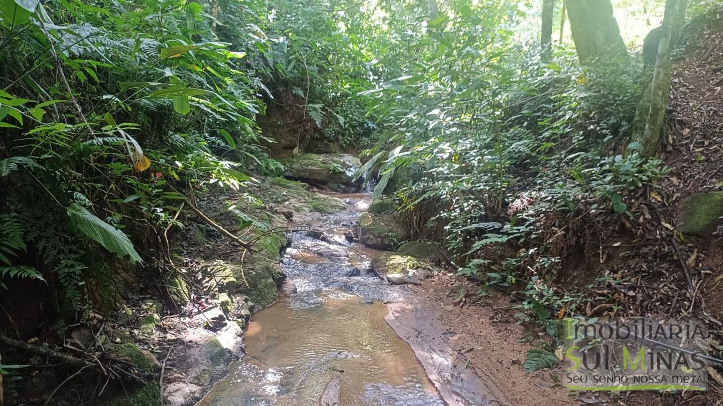 Sítio de 3 Alqueires a 7km da cidade a Venda em Cambuí MG cod 2437 (20)