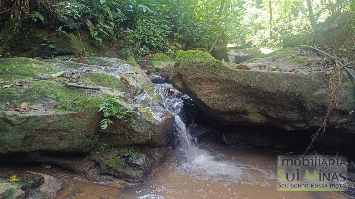Sítio de 3 Alqueires a 7km da cidade a Venda em Cambuí MG cod 2437 (21)