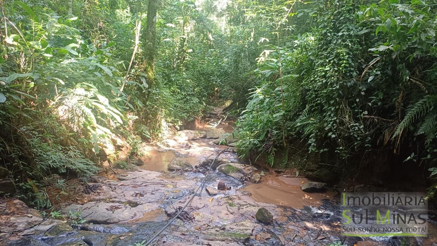 Sítio de 3 Alqueires a 7km da cidade a Venda em Cambuí MG cod 2437 (22)