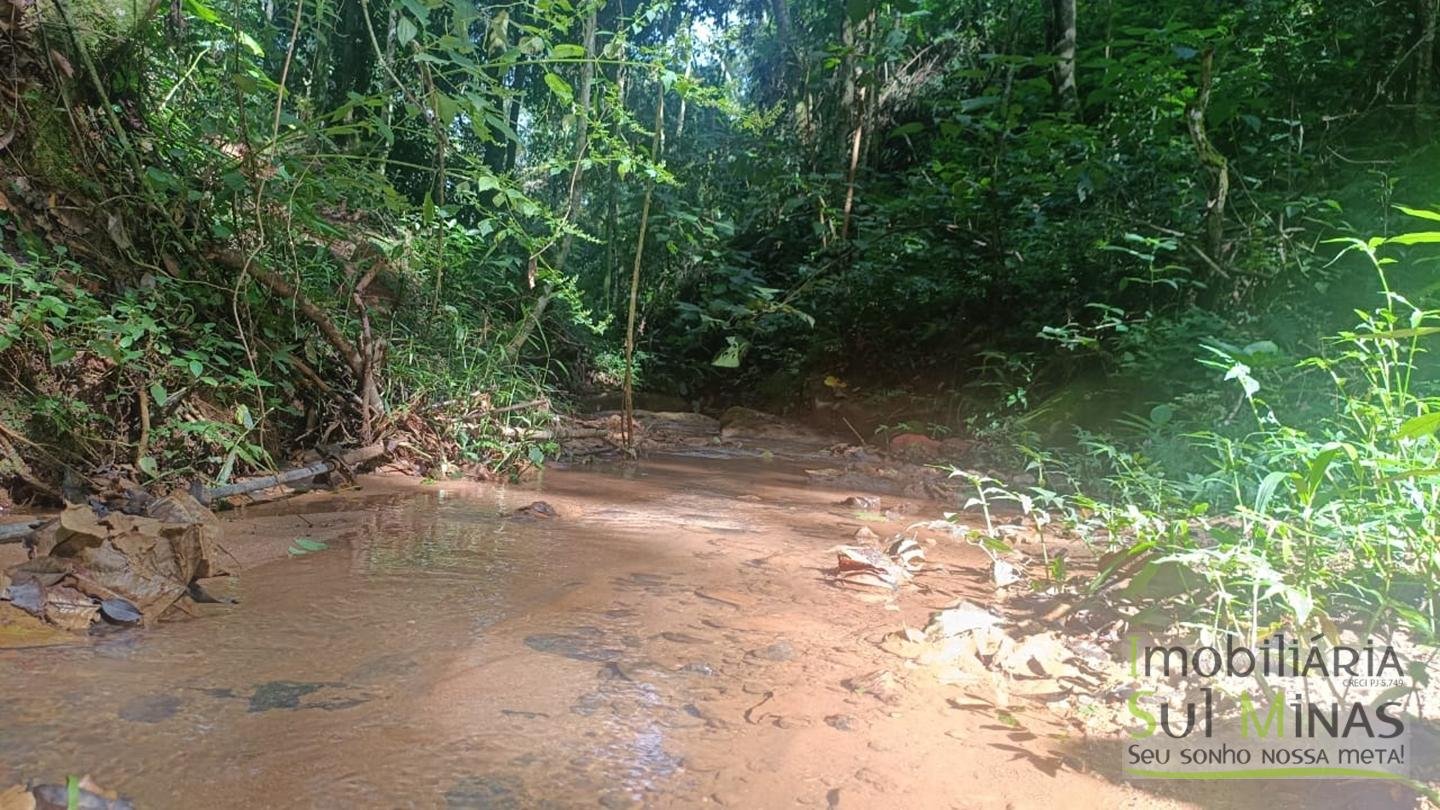 Sítio de 3 Alqueires a 7km da cidade a Venda em Cambuí MG cod 2437 (23)