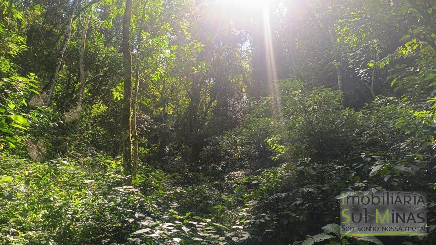 Sítio de 3 Alqueires a 7km da cidade a Venda em Cambuí MG cod 2437 (24)