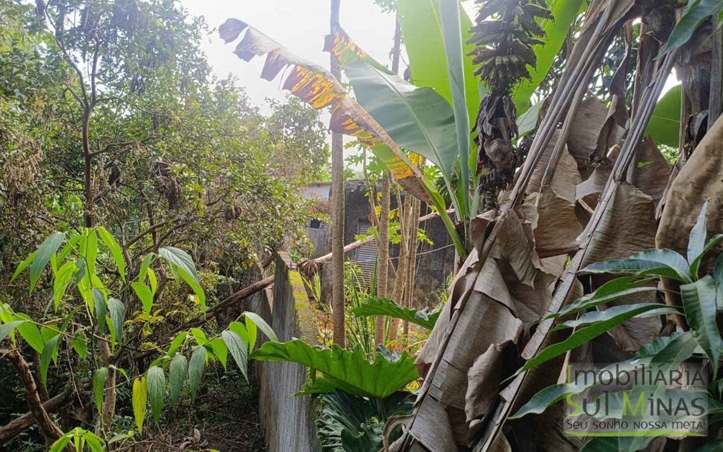 Terrenos Urbanos Com 250m² Cada À Venda em Córrego do Bom Jesus cod2448 (1)