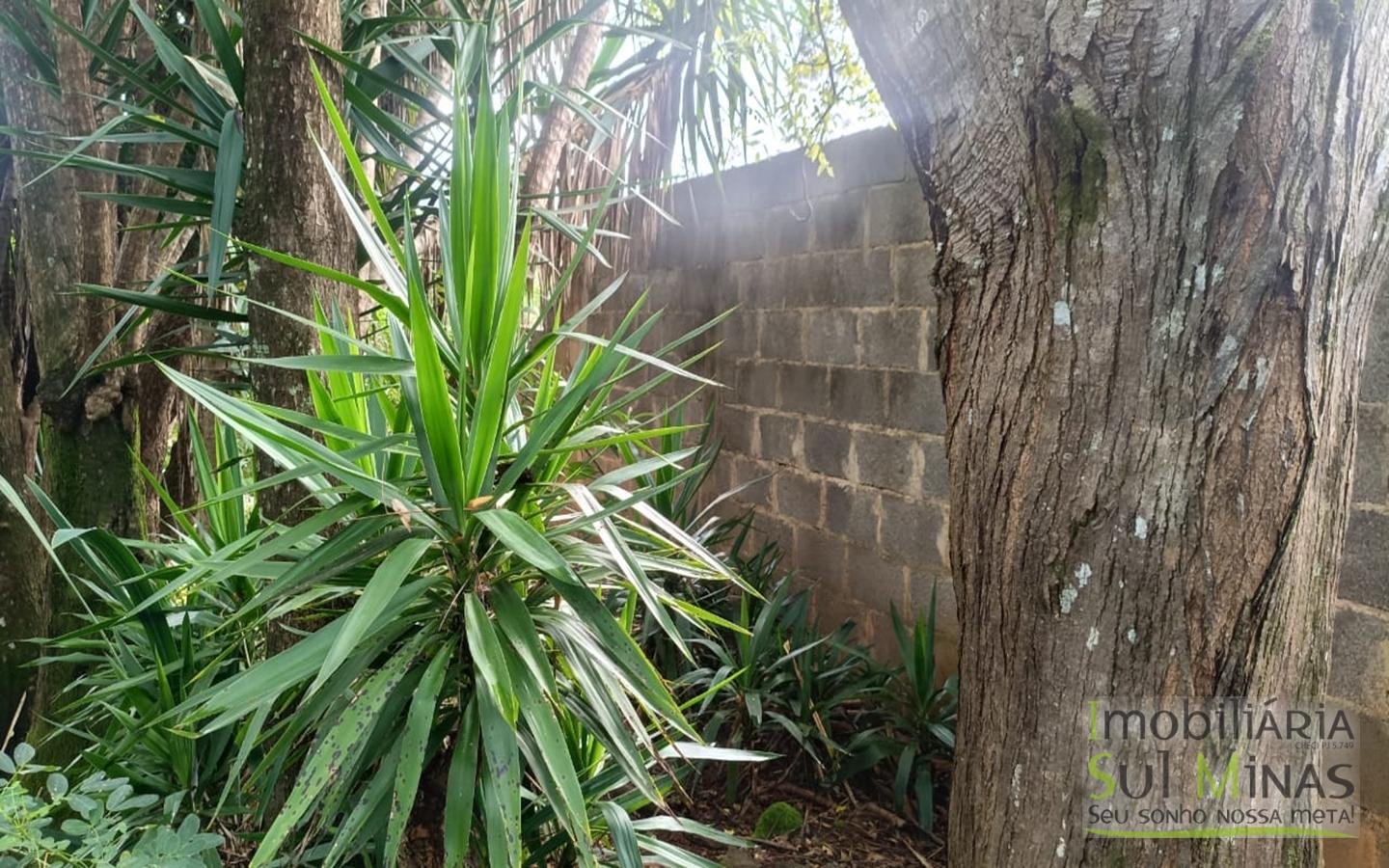 Terrenos Urbanos Com 250m² Cada À Venda em Córrego do Bom Jesus cod2448 (10)