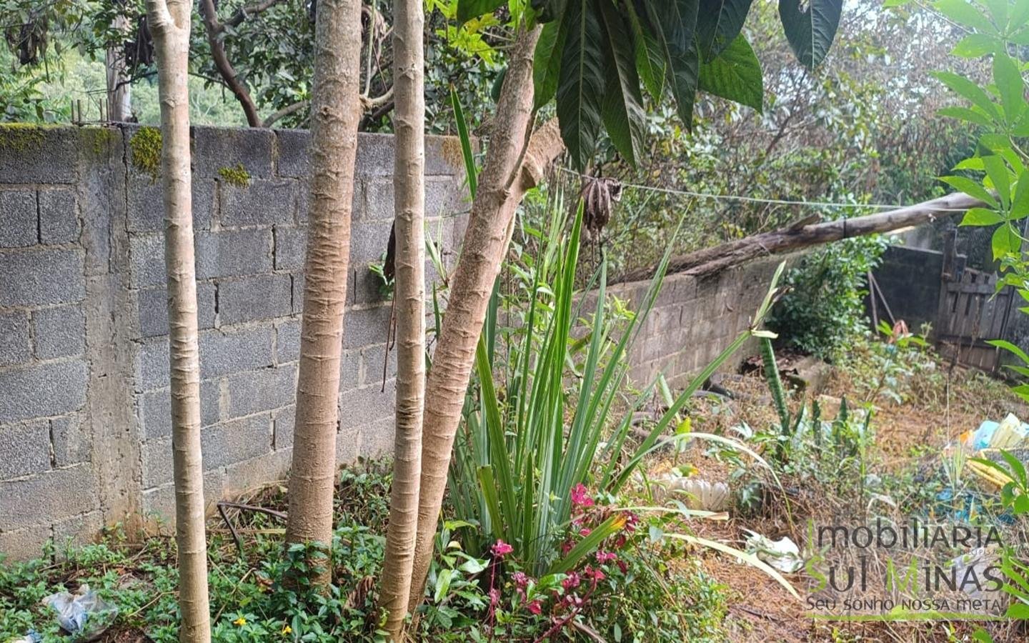 Terrenos Urbanos Com 250m² Cada À Venda em Córrego do Bom Jesus cod2448 (11)