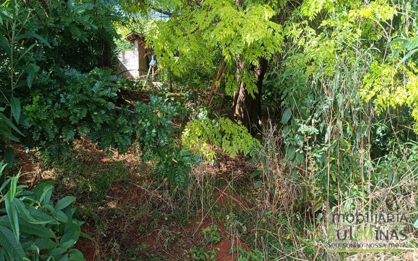 Terrenos Urbanos Com 250m² Cada À Venda em Córrego do Bom Jesus cod2448 (14)