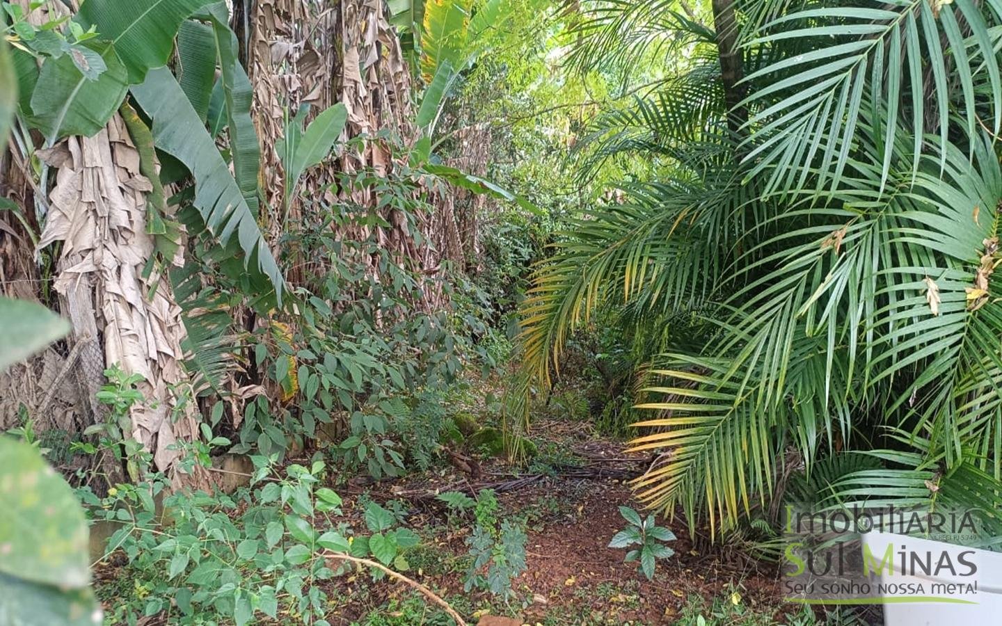 Terrenos Urbanos Com 250m² Cada À Venda em Córrego do Bom Jesus cod2448 (2)