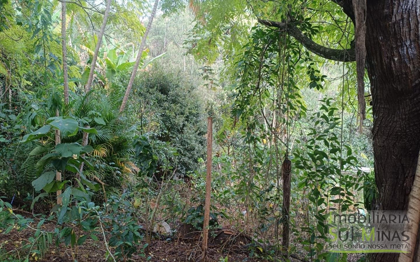 Terrenos Urbanos Com 250m² Cada À Venda em Córrego do Bom Jesus cod2448 (5)