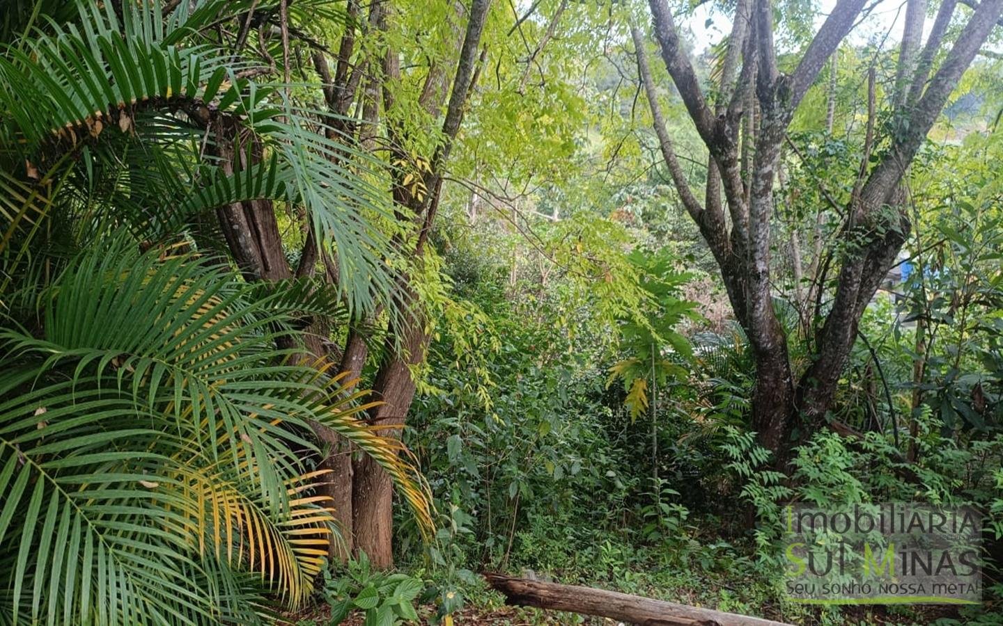 Terrenos Urbanos Com 250m² Cada À Venda em Córrego do Bom Jesus cod2448 (6)