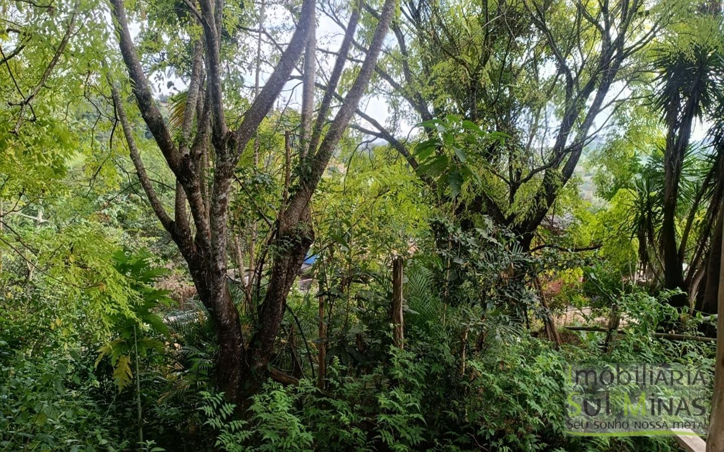 Terrenos Urbanos Com 250m² Cada À Venda em Córrego do Bom Jesus cod2448 (9)