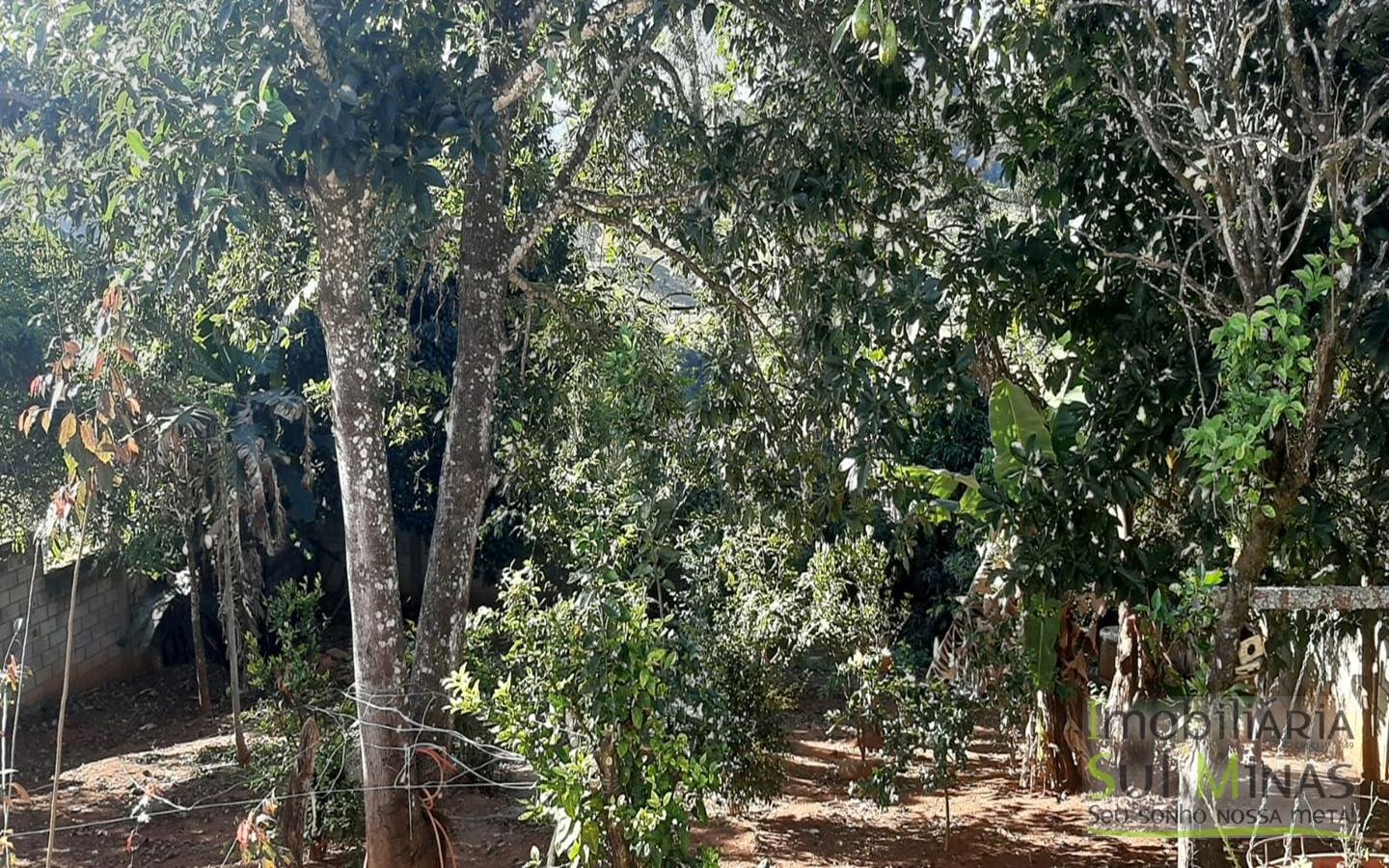 WhatsApp Image 2022 07 05 at 16.36.31 (1)