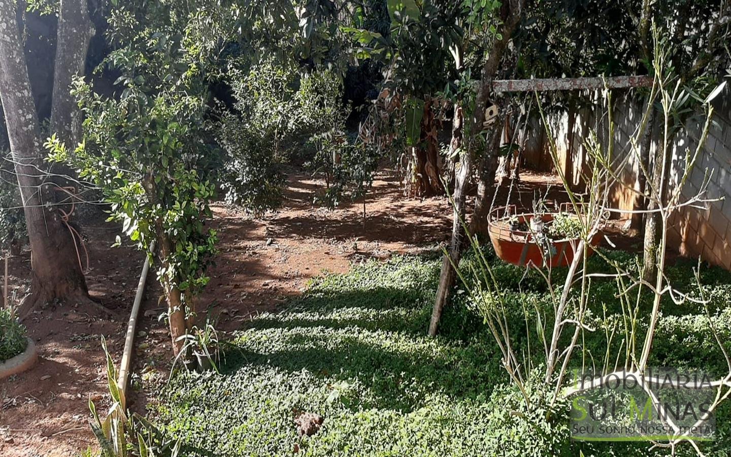 WhatsApp Image 2022 07 05 at 16.36.31