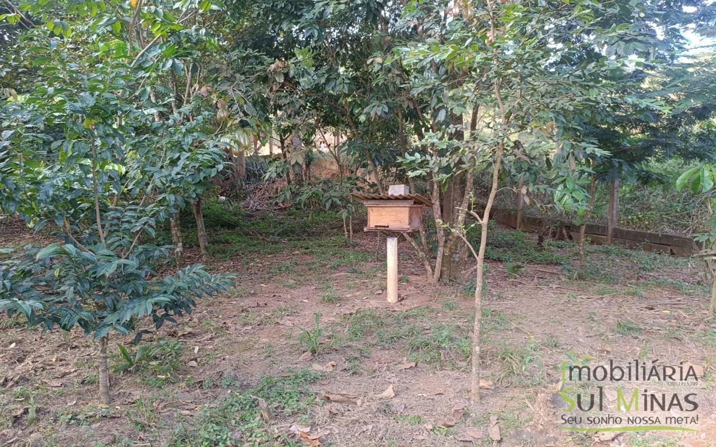 Chácara Completa à Venda em CambuíMG cod2471 (17)