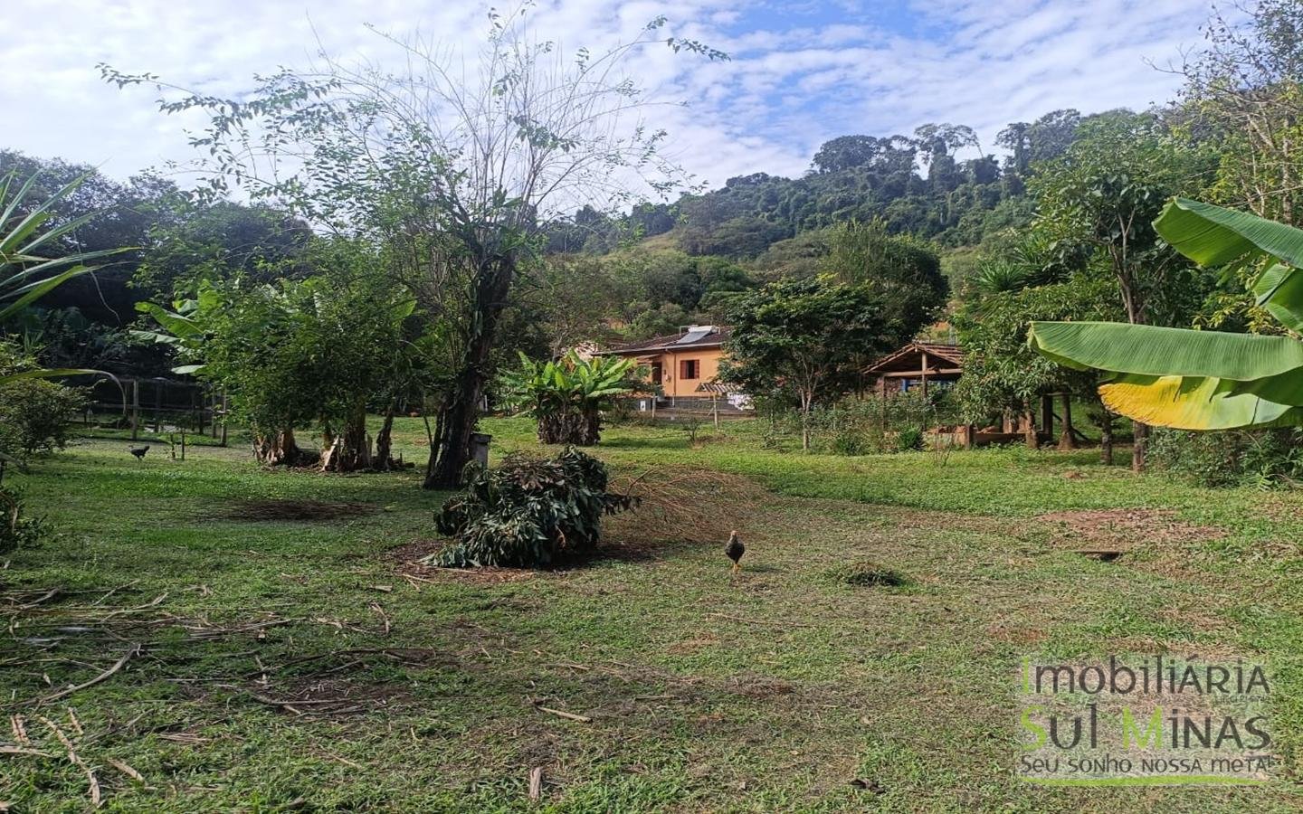 Chácara Completa à Venda em CambuíMG cod2471 (18)