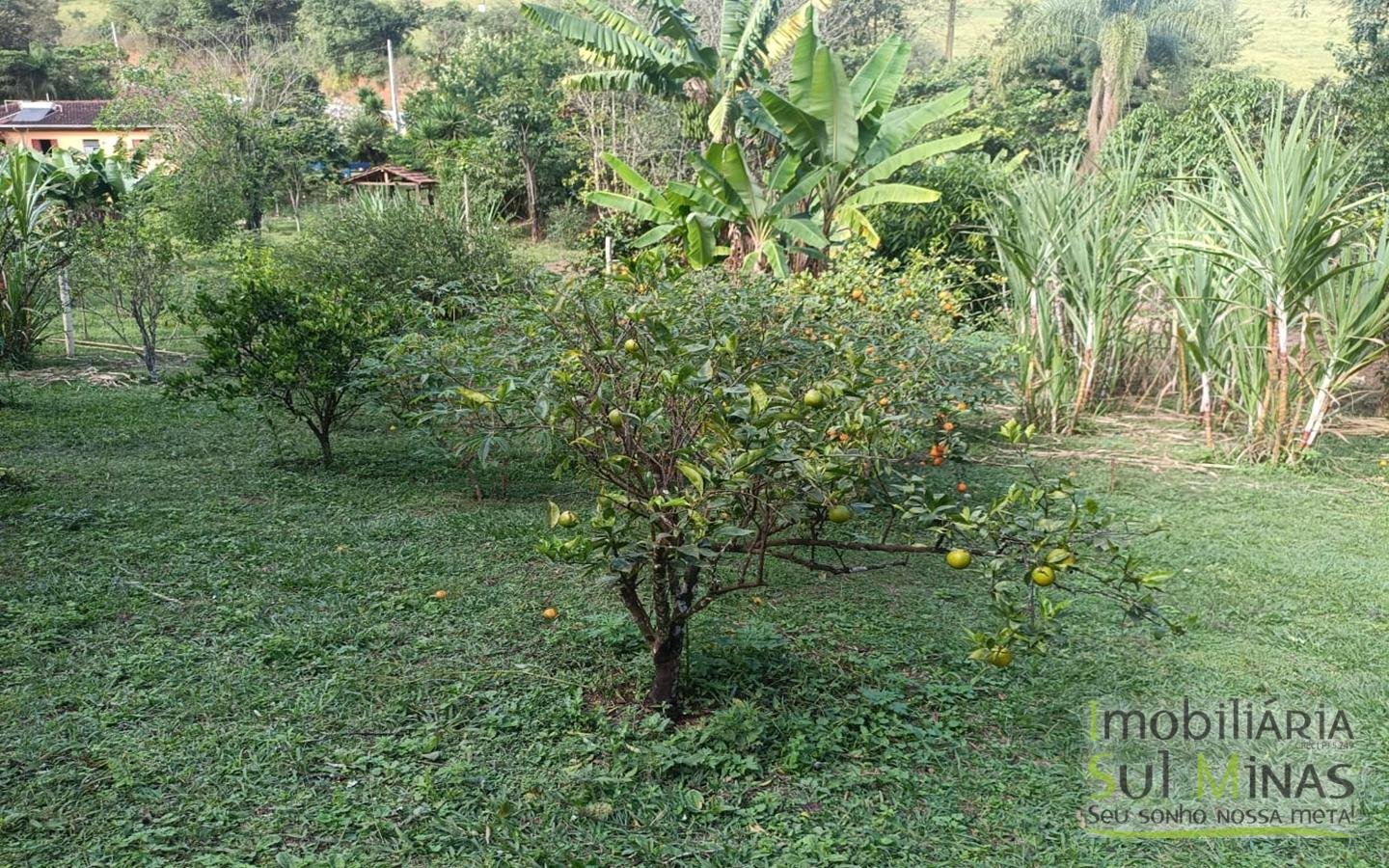 Chácara Completa à Venda em CambuíMG cod2471 (22)