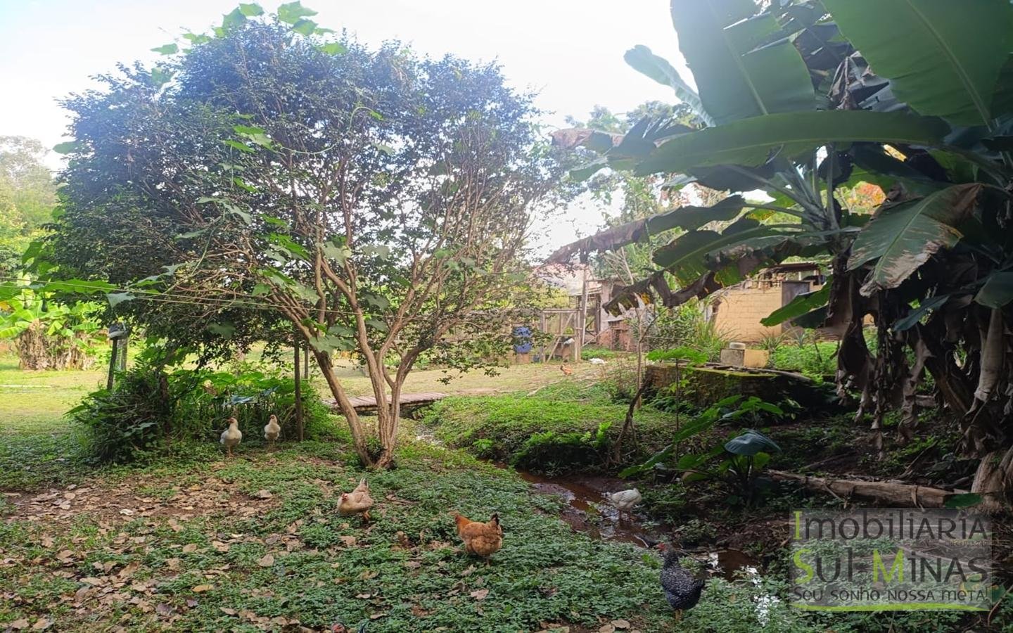 Chácara Completa à Venda em CambuíMG cod2471 (28)