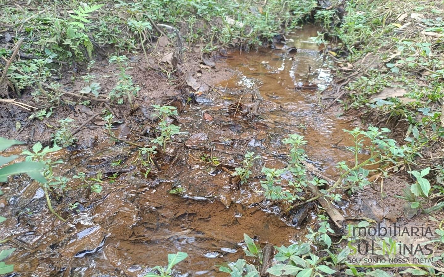 Chácara Completa à Venda em CambuíMG cod2471 (30)