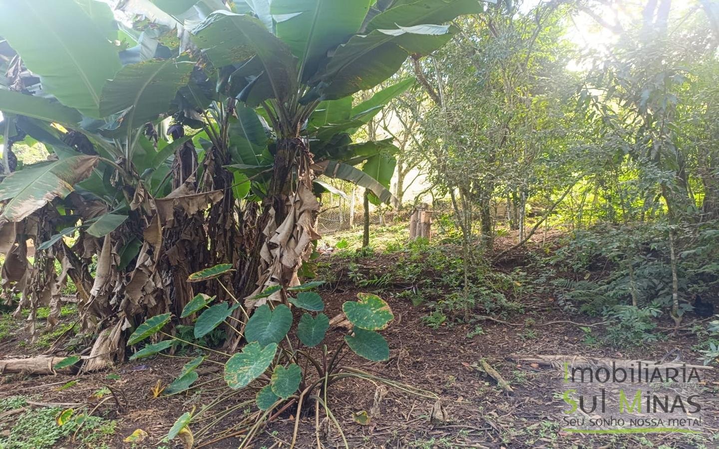Chácara Completa à Venda em CambuíMG cod2471 (33)