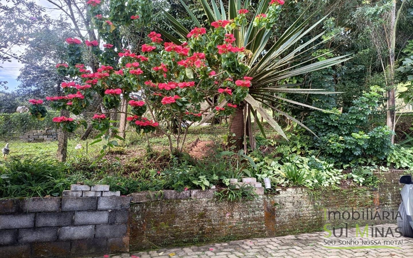 Chácara Completa à Venda em CambuíMG cod2471 (34)