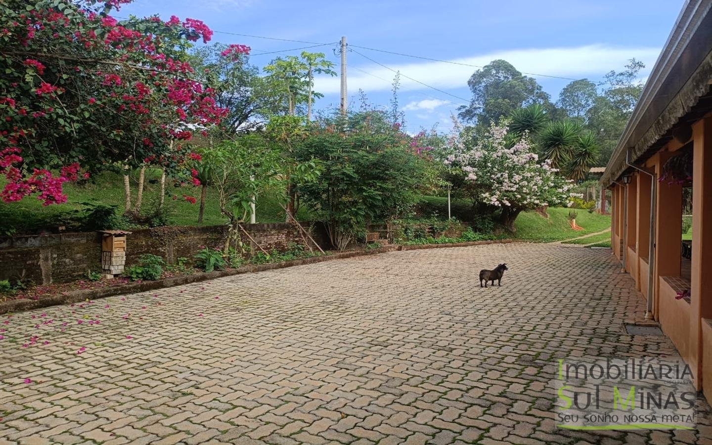 Chácara Completa à Venda em CambuíMG cod2471 (6)