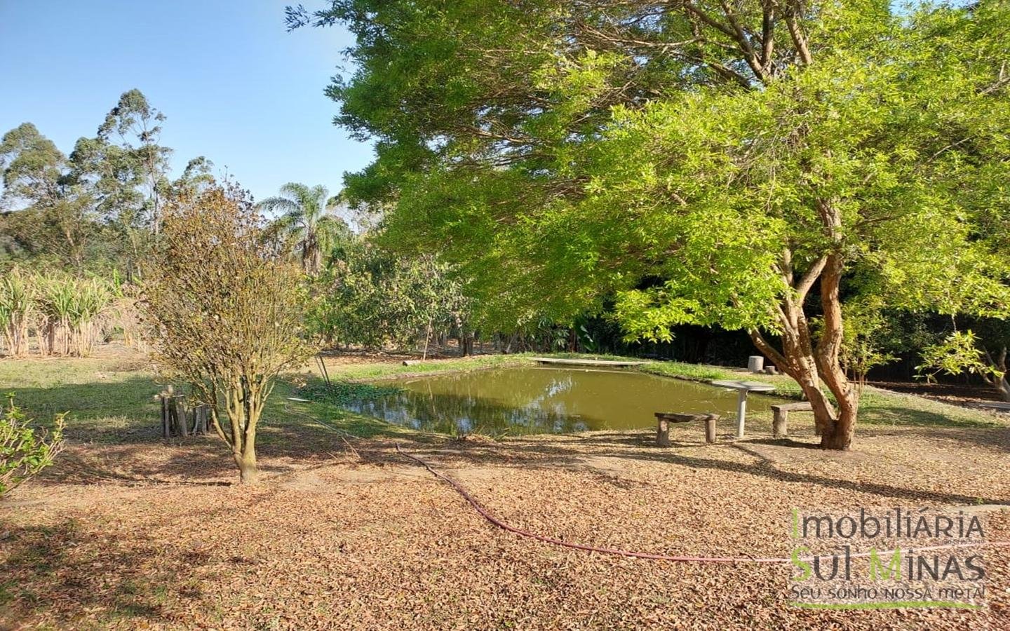 Chácara à Venda com Lago, Nascente e Excelente Localização cod2459 (16)