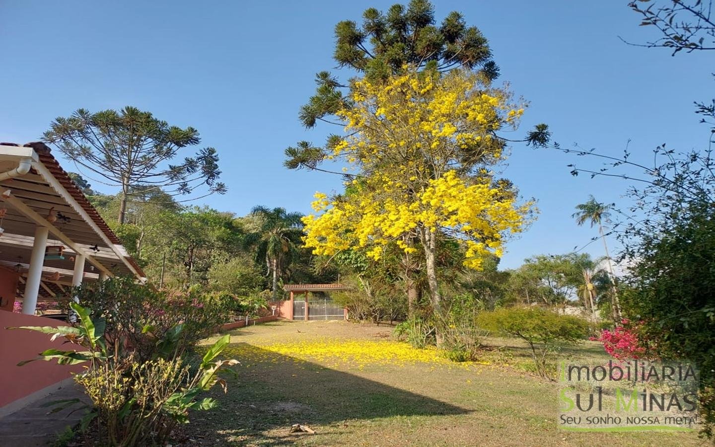 Chácara à Venda com Lago, Nascente e Excelente Localização cod2459 (21)
