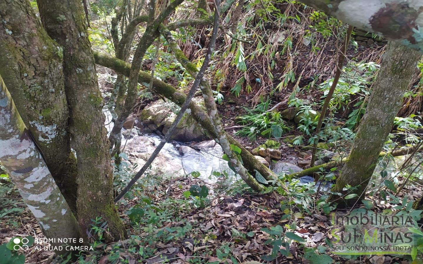 Chácara à Venda em Camanducaia MG cod2461 (1)