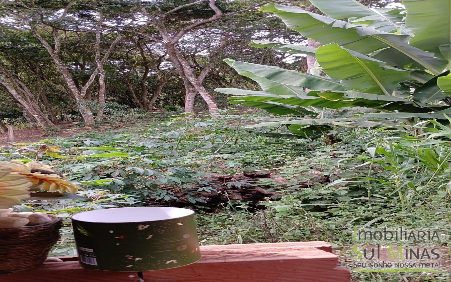 Chácara à Venda em Camanducaia MG cod2461 (16)