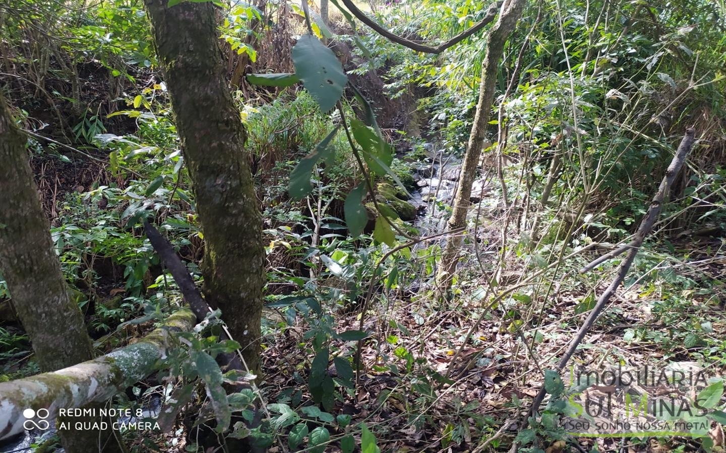 Chácara à Venda em Camanducaia MG cod2461 (2)