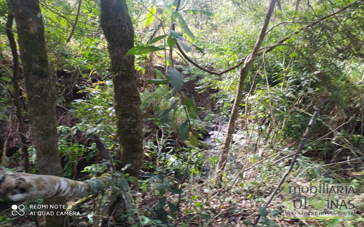 Chácara à Venda em Camanducaia MG cod2461 (28)